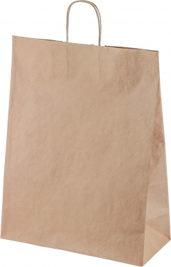 Пакет с крученными ручками 220х120х250 - [250шт] бумажный 70гр 