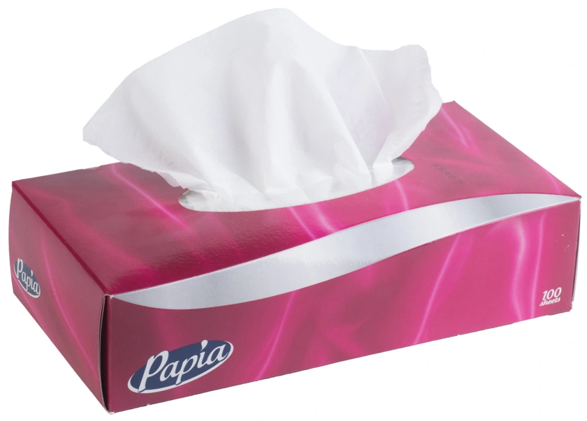 Papia салфетки в Коробке 2сл белые 100л (24уп*кор)