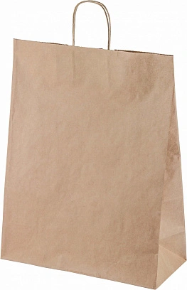 Пакет с крученными ручками 220х120х250 - [250шт] бумажный 70гр 