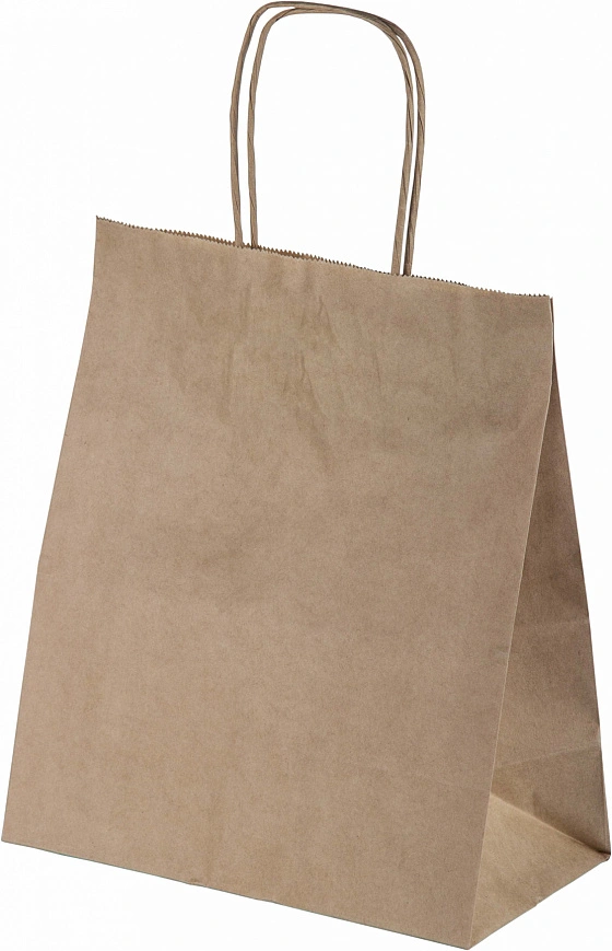 Пакет с крученными ручками 240х140х280 - [300шт] бумажный 70гр 